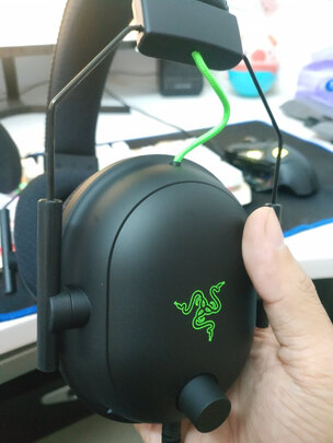 求助揭秘雷蛇（Razer）旋风黑鲨V2怎么样?一个月后质量真相