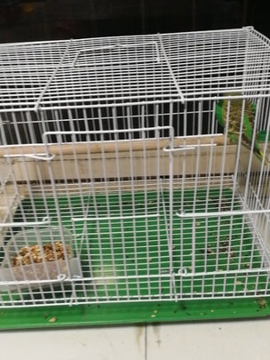 鸟笼