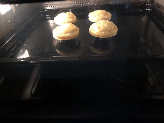 daogrsG3蒸烤箱|【电商快报】意大利G3蒸烤箱怎么样讲一讲体验真实感受