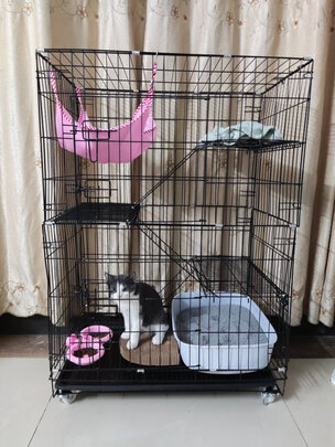  猫笼
