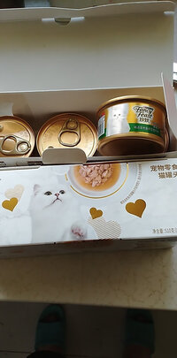 猫罐头