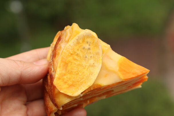 良心点评长帝ZTB32N蒸烤箱怎么样?亲身体验内幕曝光!