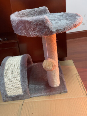 猫爬架