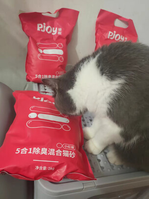 膨润土猫砂
