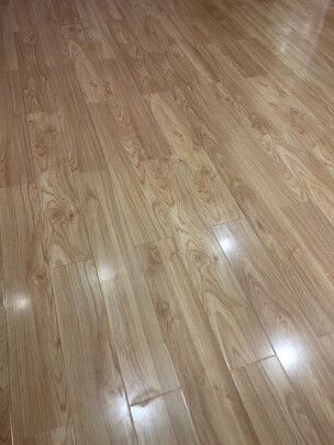 法格VCB-396R蒸汽拖把|法格VCB-396R蒸汽拖把如何,值得入手的原因分享！