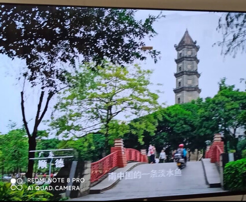小米L65M6-5电视|参考剖析小米L65M6-5电视怎么样?深度测评剖析