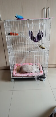 猫笼