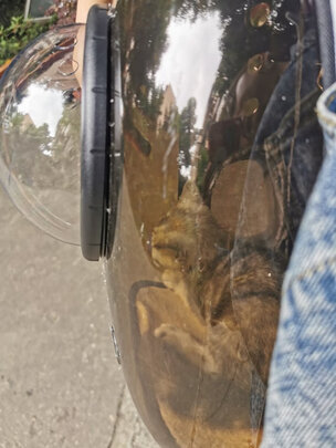 宠物航空箱