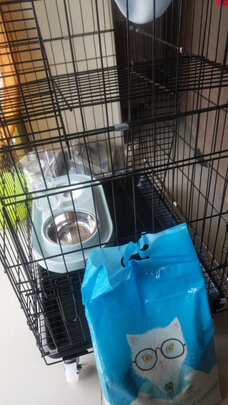 猫笼