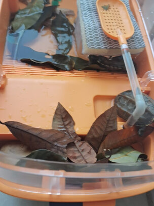 乌龟缸