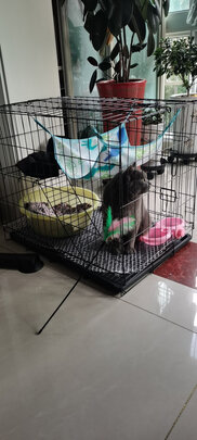 猫笼