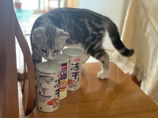 猫冻干