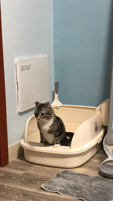 猫砂盆