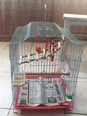 鸟笼