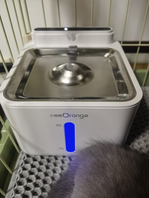 宠物饮水机