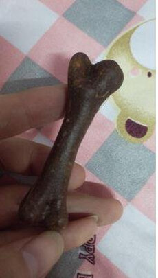 狗狗磨牙棒