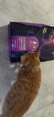 猫粮