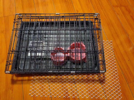  狗笼