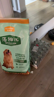 狗粮