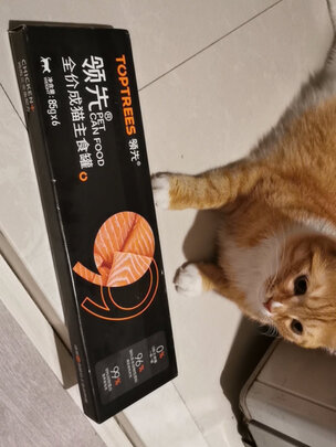 猫粮罐头