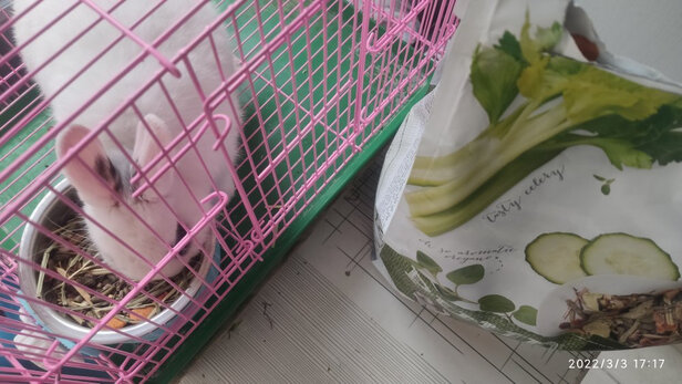 兔粮