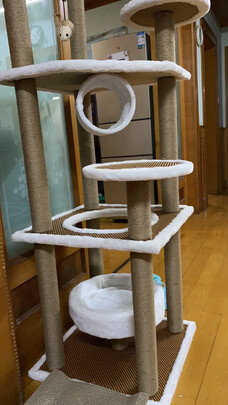 猫爬架