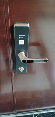 凯迪仕HK300指纹锁怎么样用后两周感受解说？