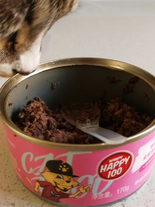 猫罐头