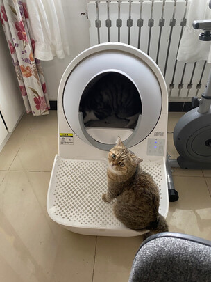 猫砂铲