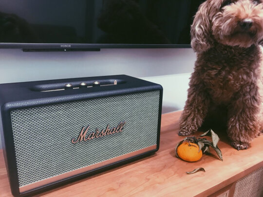 MARSHALL STANMORE II BLUETOOTH好不好，使用方便吗，音质俱佳吗？