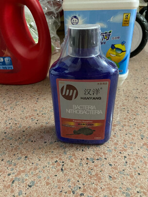 鱼缸硝化细菌