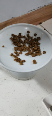 猫粮