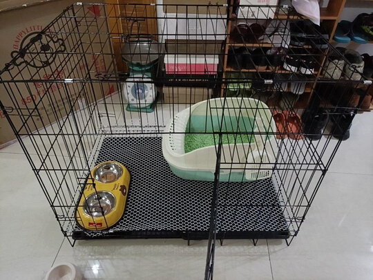 猫笼