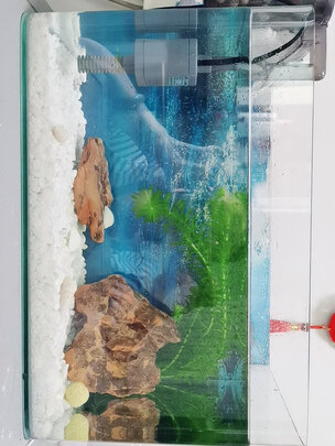 鱼缸造景石头