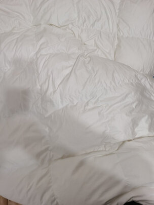 京东京造95西伯利亚进口鹅绒被 1.5m 1100g选择五大雷区要慎重