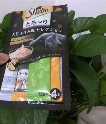 猫条猫零食
