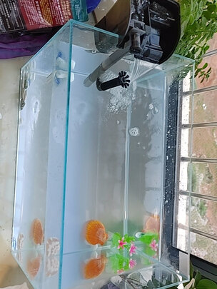 桌面鱼缸