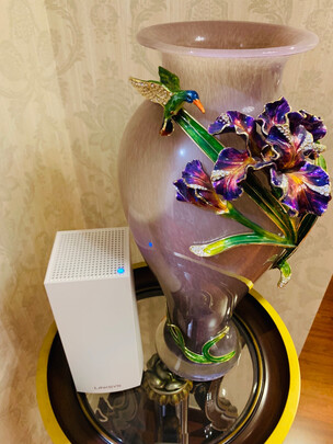 领势linksysvelop mx10600怎么样用后讲一讲感受