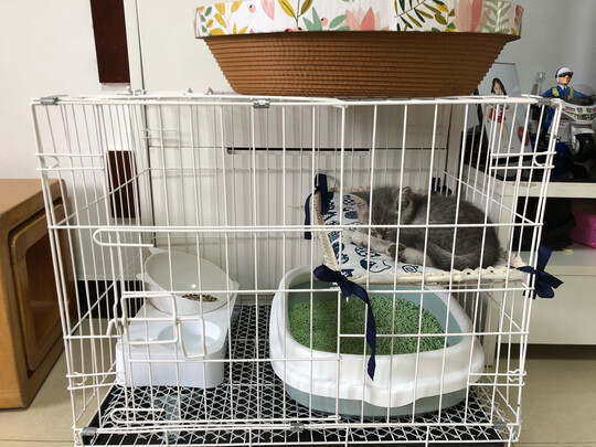  猫笼