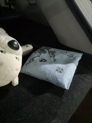汽车竹炭包