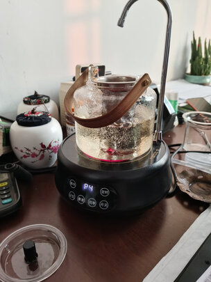 容山堂玻璃茶壶养生壶怎么样,不要被表面评价给忽悠了