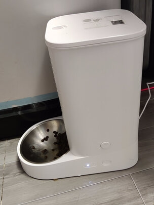 猫碗狗碗