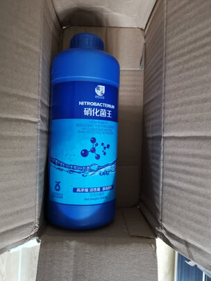 鱼缸硝化细菌