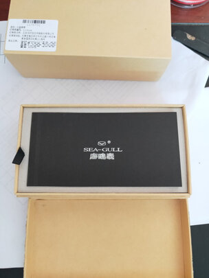 海鸥机械男表选择误区，需要注意这五点