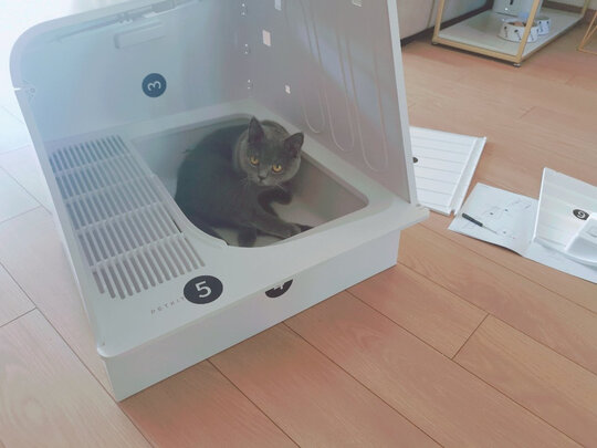 猫砂盆