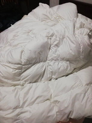 京东京造90%知芯白鸭绒被极度喜欢感受反馈