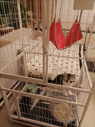 猫笼