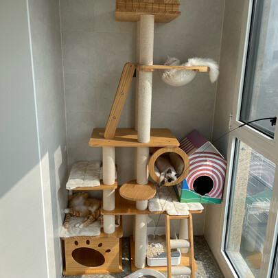 豆腐猫砂