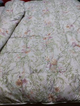 水星家纺QF506L-S01一个月后开始后悔了诉说原因