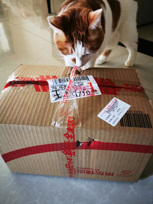 猫条猫零食